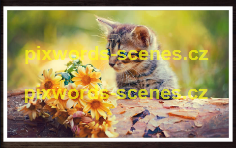 PixWords Scenes help