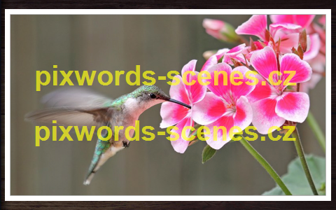 PixWords Scenes help