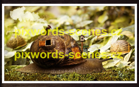 PixWords Scenes help