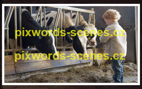PixWords Scenes help