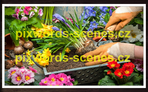 PixWords Scenes help