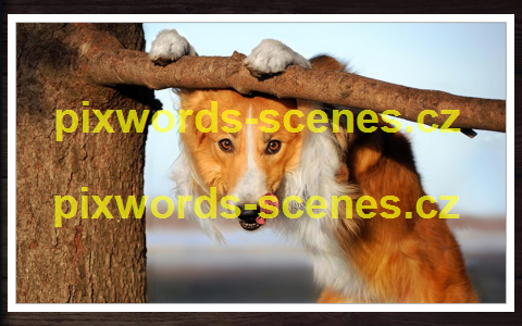 PixWords Scenes help
