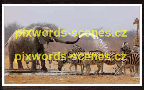 PixWords Scenes help