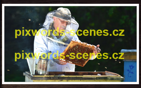 PixWords Scenes help