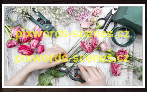 PixWords Scenes help