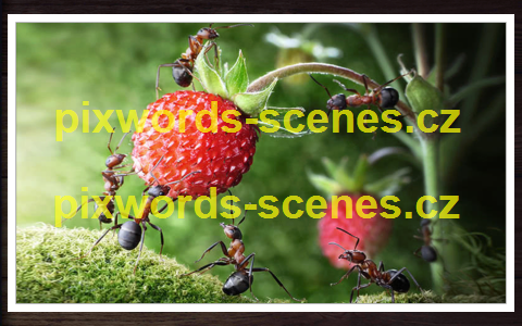 PixWords Scenes help