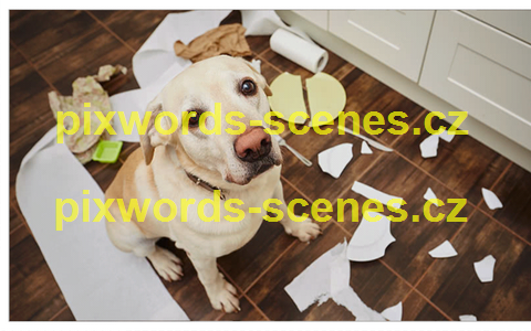 PixWords Scenes help
