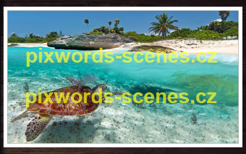 PixWords Scenes help