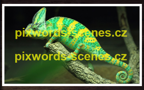 PixWords Scenes help