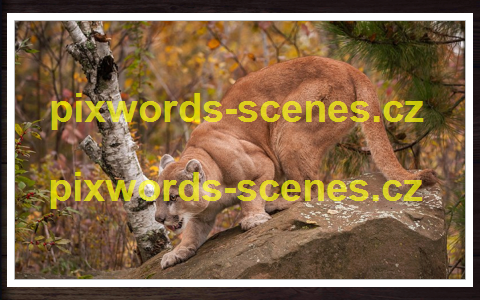 PixWords Scenes help