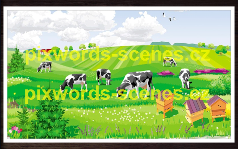 PixWords Scenes help