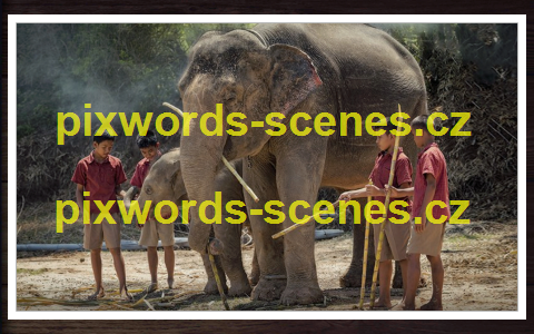 PixWords Scenes help