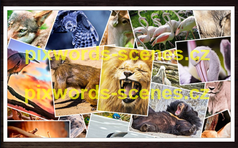 PixWords Scenes help