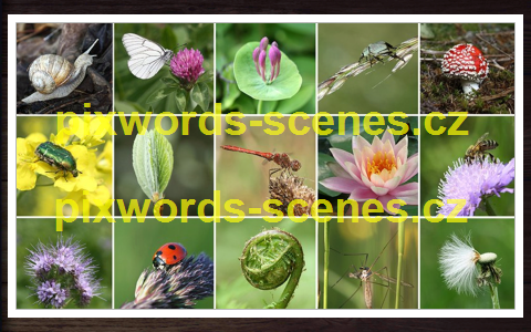 PixWords Scenes help
