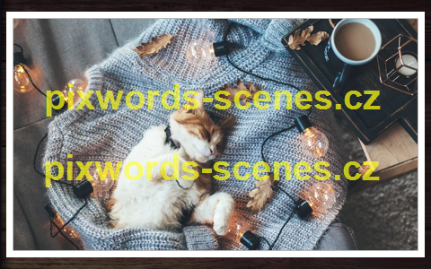 PixWords Scenes help