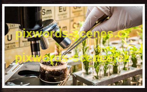 PixWords Scenes help